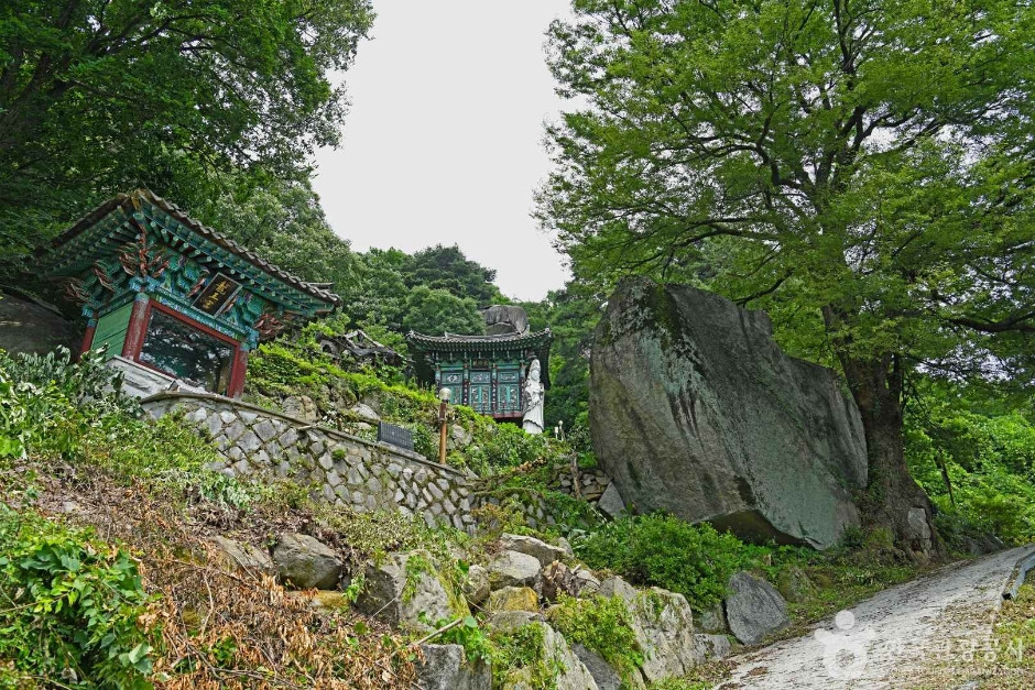 백운사(괴산) 여행 추천 - 로드트립