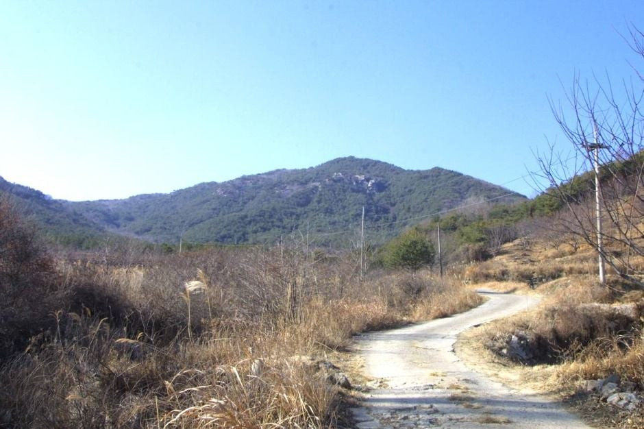 대성산 여행 추천 - 로드트립