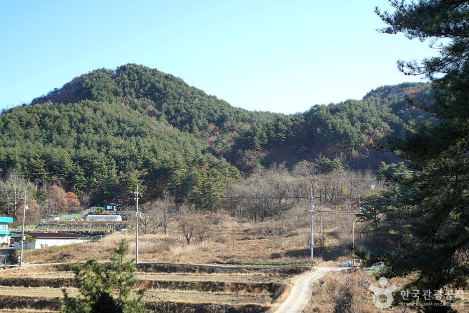 청대산 여행 추천 - 로드트립
