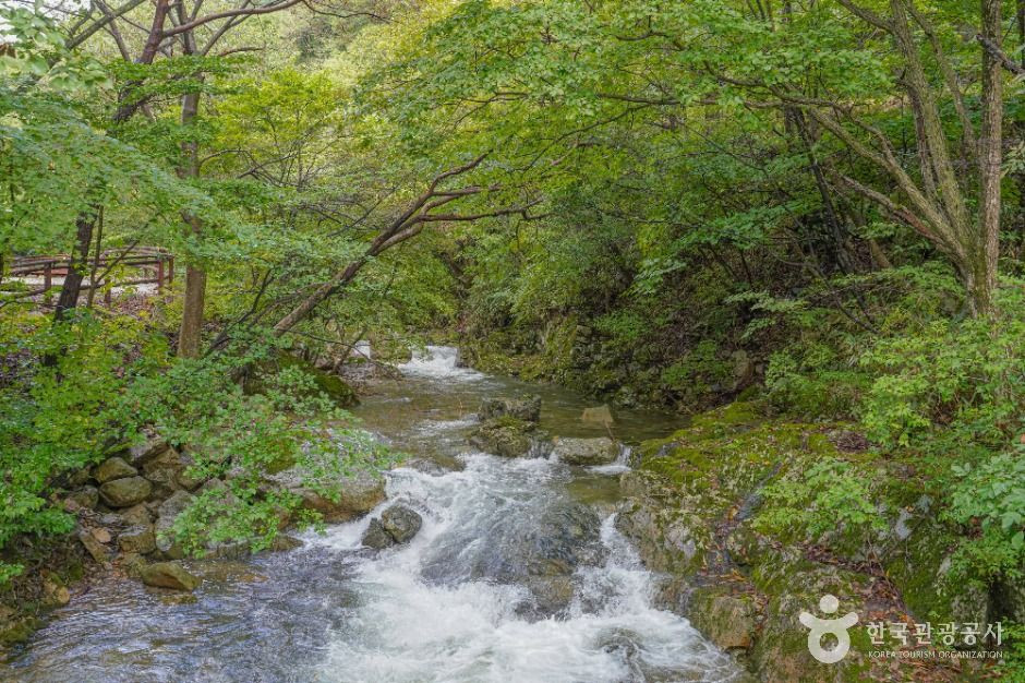 국립 운장산자연휴양림 여행 추천 - 로드트립