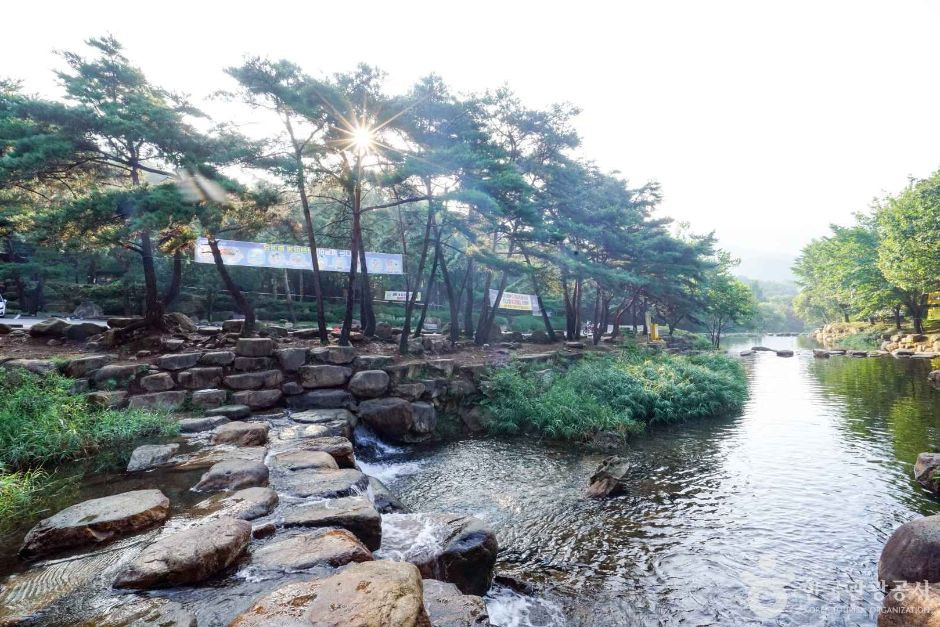 옥천계곡 여행 추천 - 로드트립