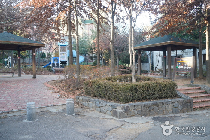인천 신현동 회화나무 여행 추천 - 로드트립