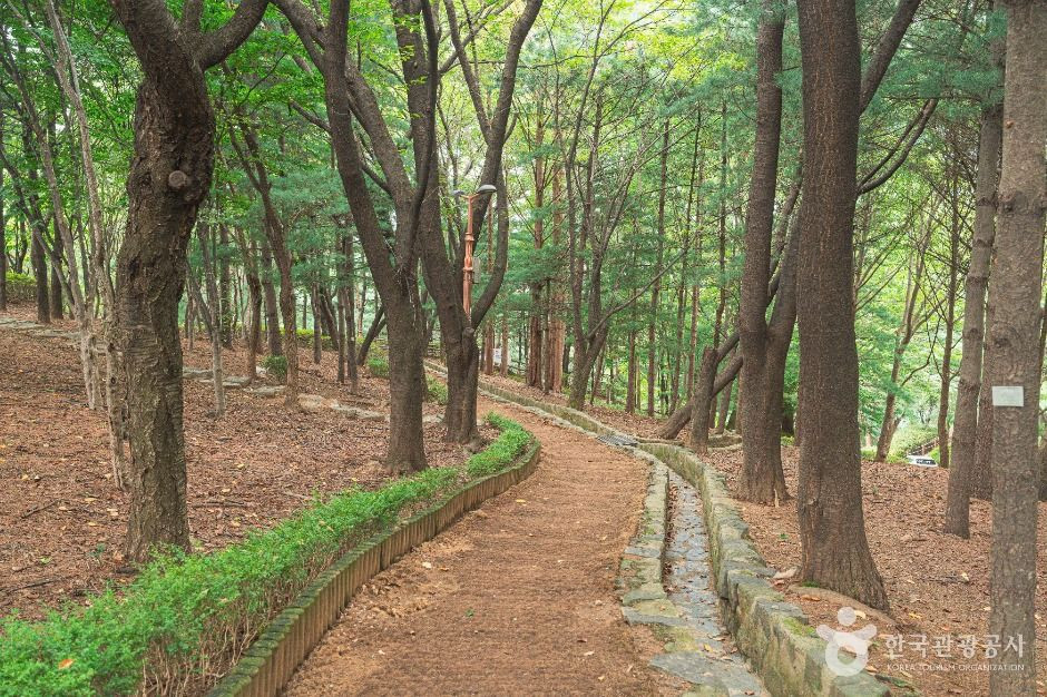 은행공원 여행 추천 - 로드트립