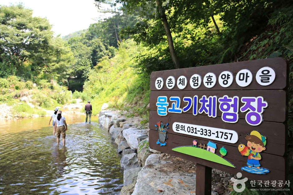 영농조합 장촌마을 여행 추천 - 로드트립