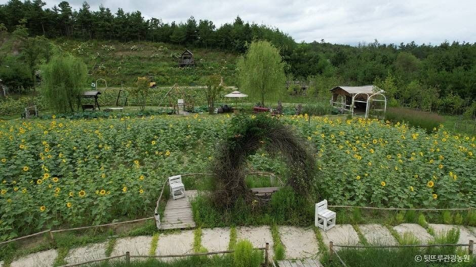 뒷뜨루관광농원 여행 추천 - 로드트립