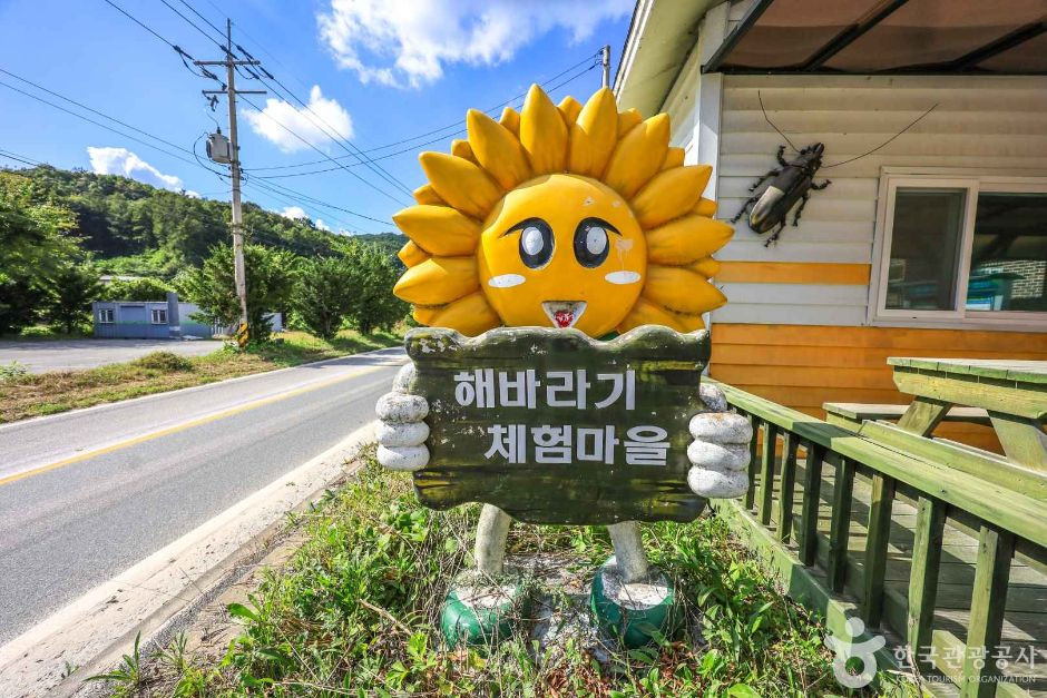 여주 해바라기마을 여행 추천 - 로드트립