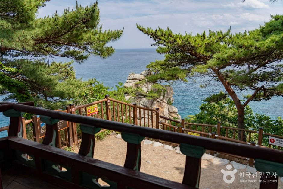 하조대 여행 추천 - 로드트립