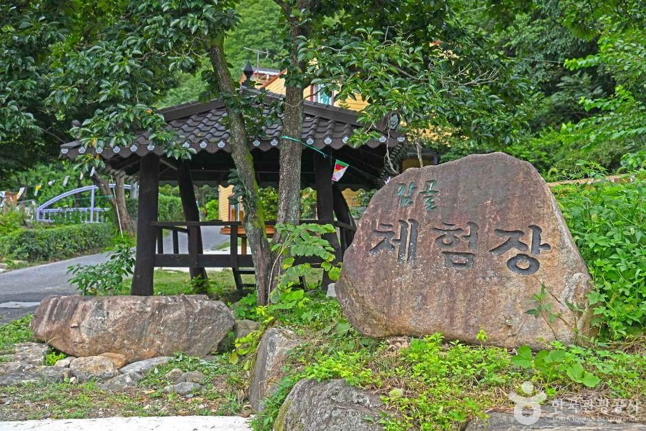 단양 감골 바람개비마을 여행 추천 - 로드트립