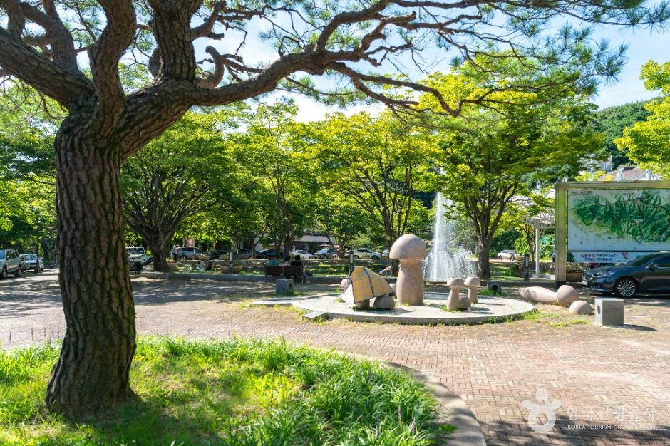 팔공산분수광장 여행 추천 - 로드트립