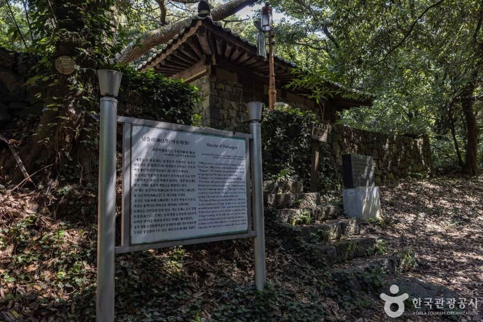 금산공원(납읍난대림지대) 여행 추천 - 로드트립