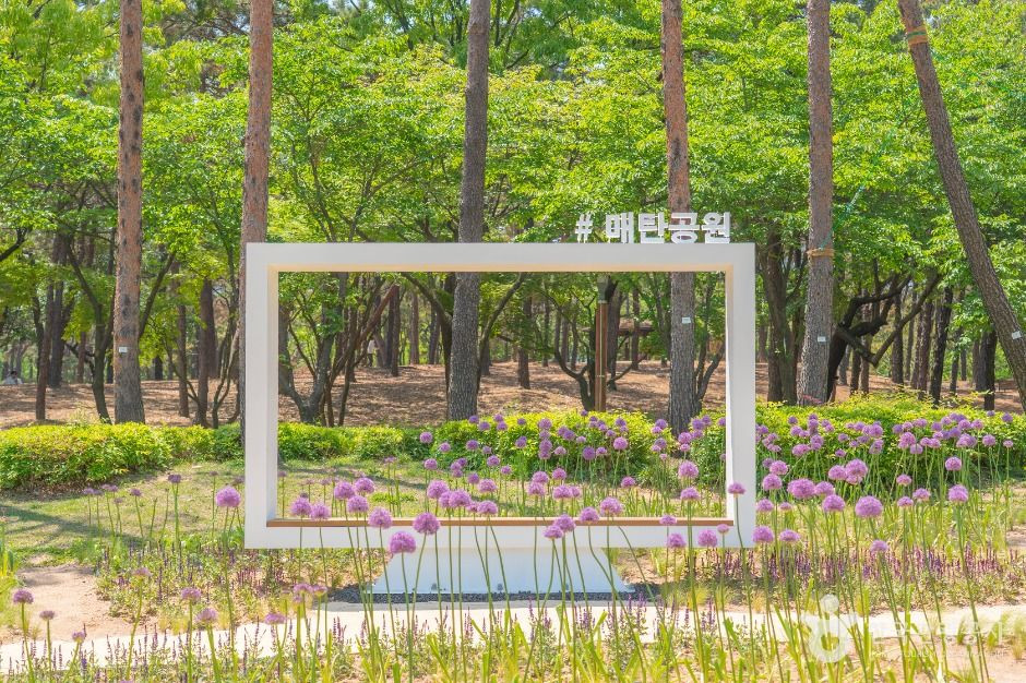 매탄공원 여행 추천 - 로드트립