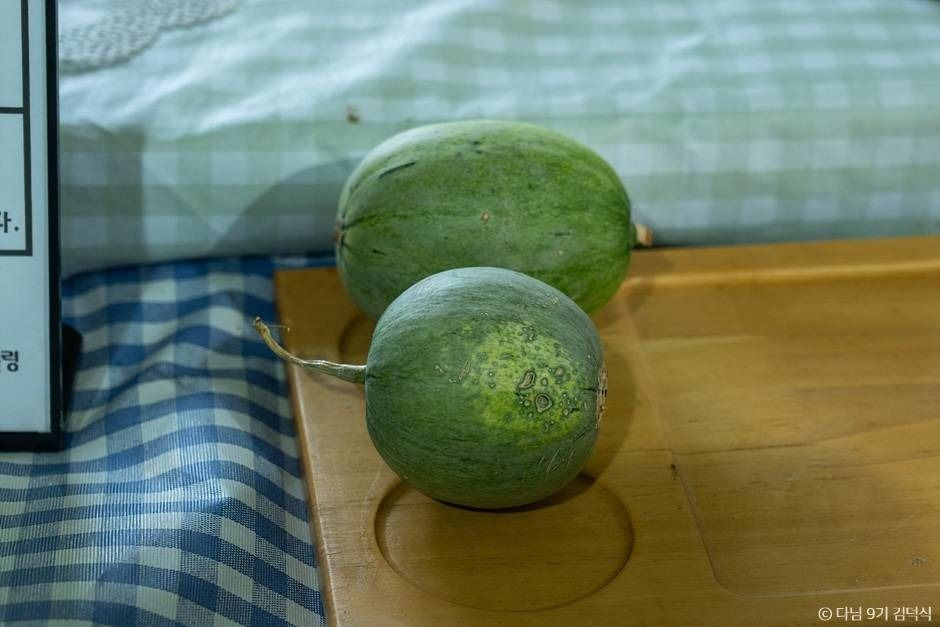야미야미팜(야미야미팜농업회사법인(주)) 여행 추천 - 로드트립