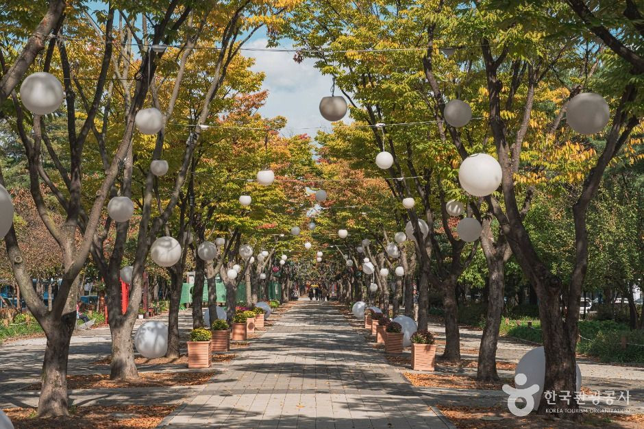 보라매공원(대전) 여행 추천 - 로드트립