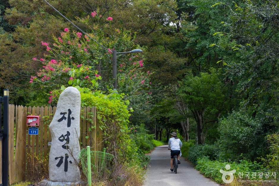 바람쐬는길 여행 추천 - 로드트립