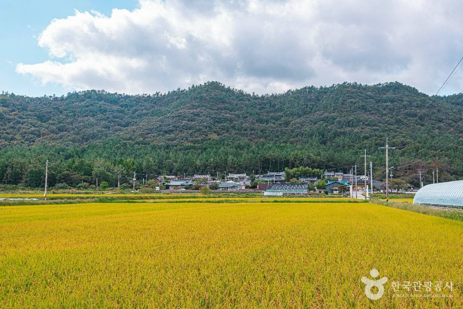 남도한옥민박마을 여행 추천 - 로드트립