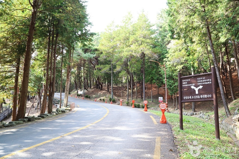 진양호 일주도로 여행 추천 - 로드트립