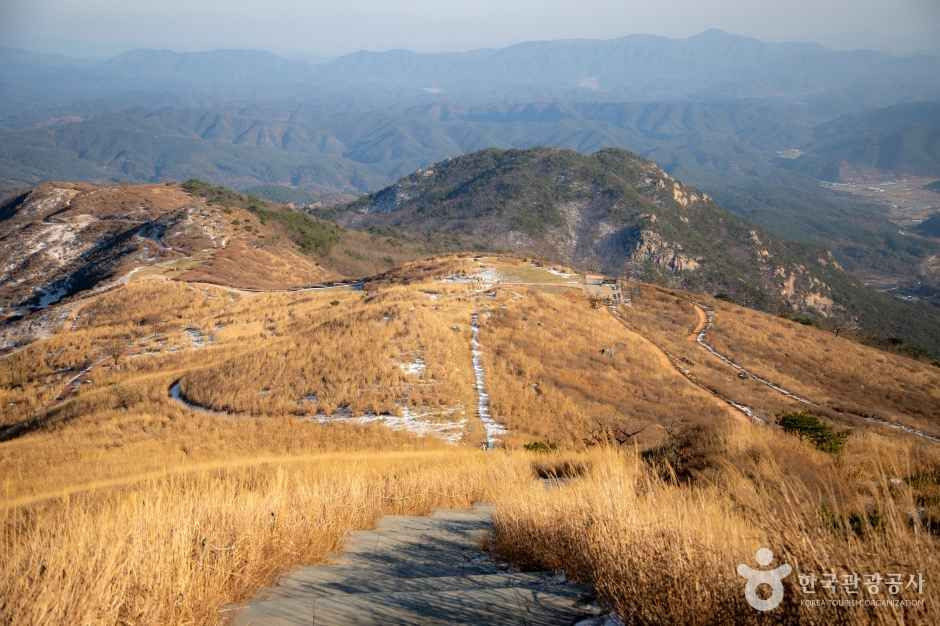 황매산 군립공원 여행 추천 - 로드트립