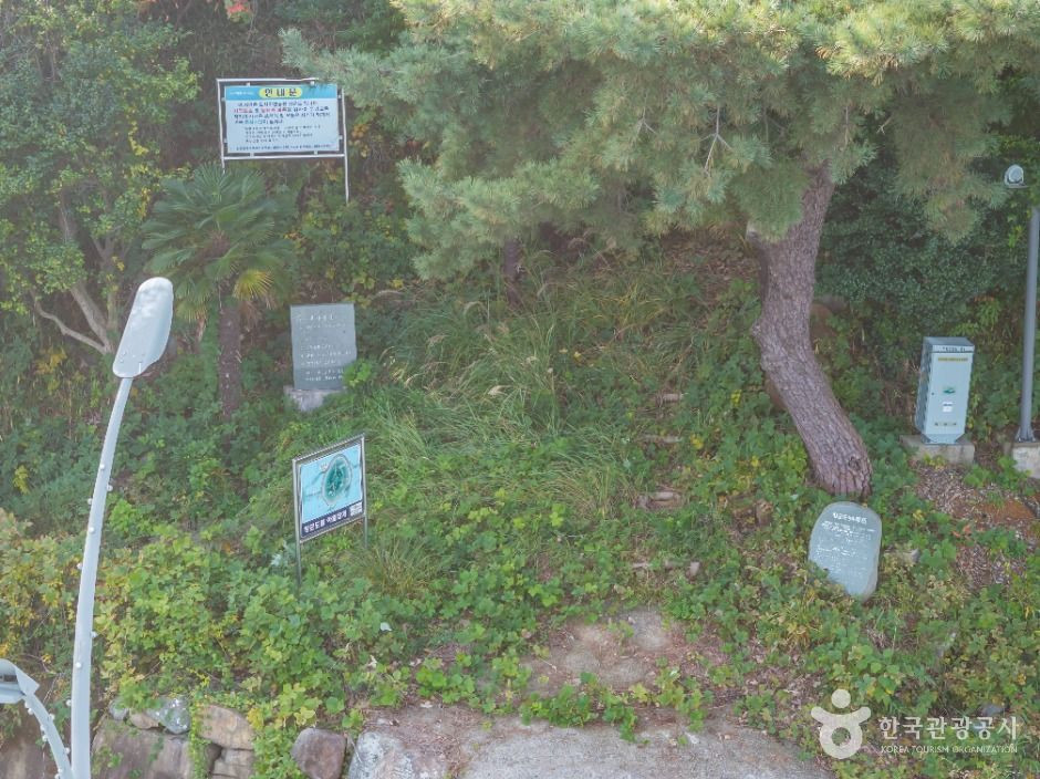 장군도 여행 추천 - 로드트립