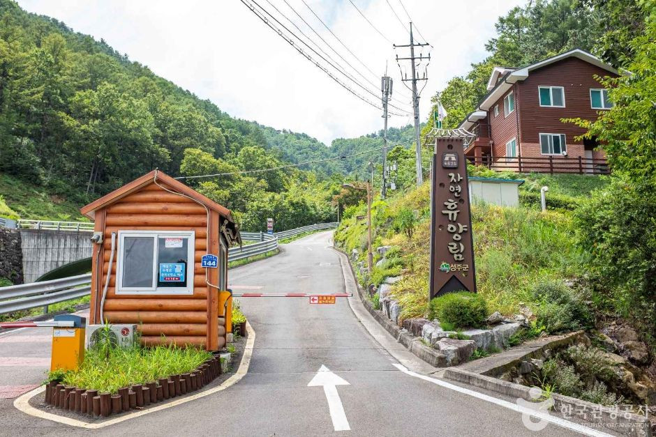 독용산성 자연휴양림 여행 추천 - 로드트립