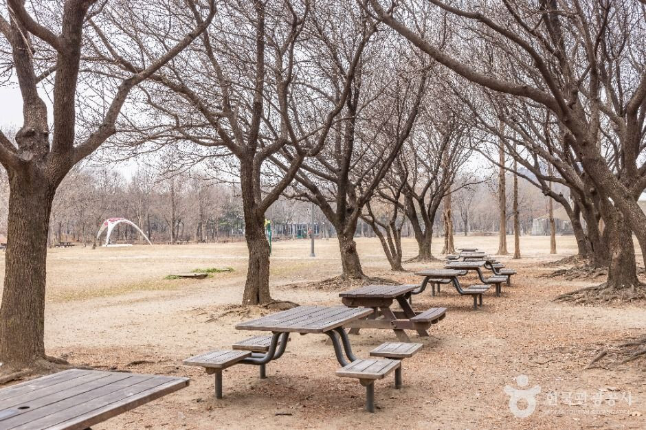서울숲 여행 추천 - 로드트립