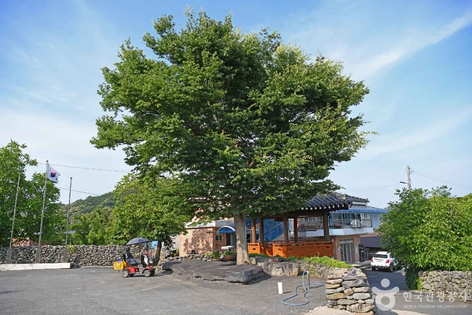 부여 반교마을 여행 추천 - 로드트립