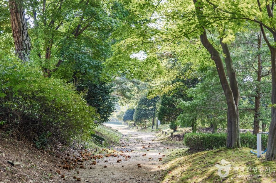 일영허브랜드(숲길정원) 여행 추천 - 로드트립