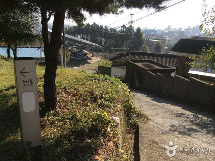 보은산 여행 추천 - 로드트립