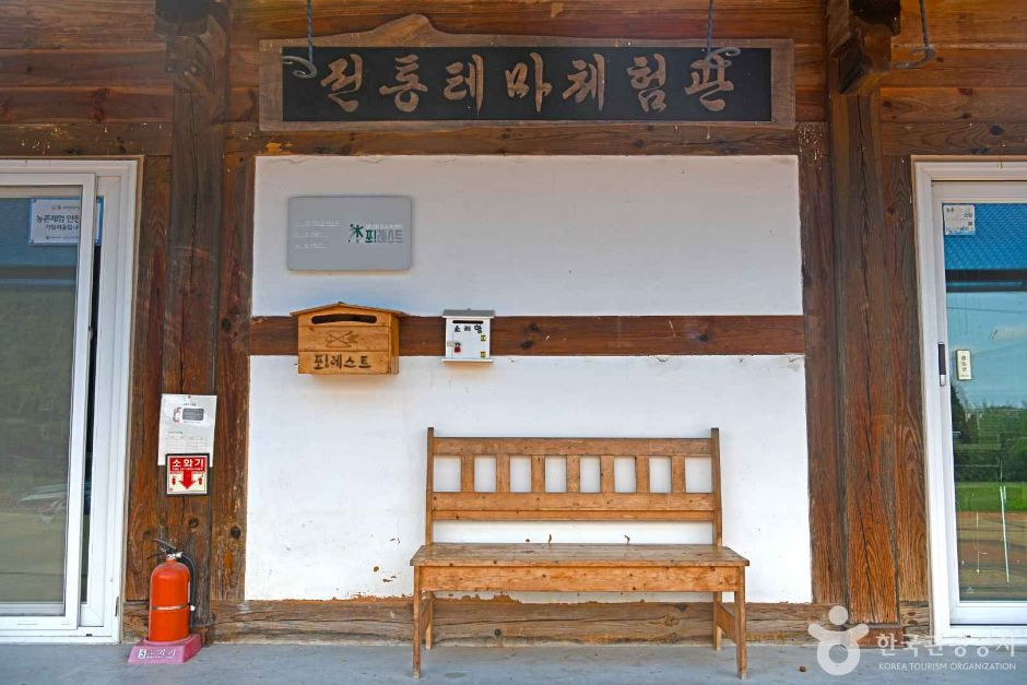 강릉 해살이마을 여행 추천 - 로드트립