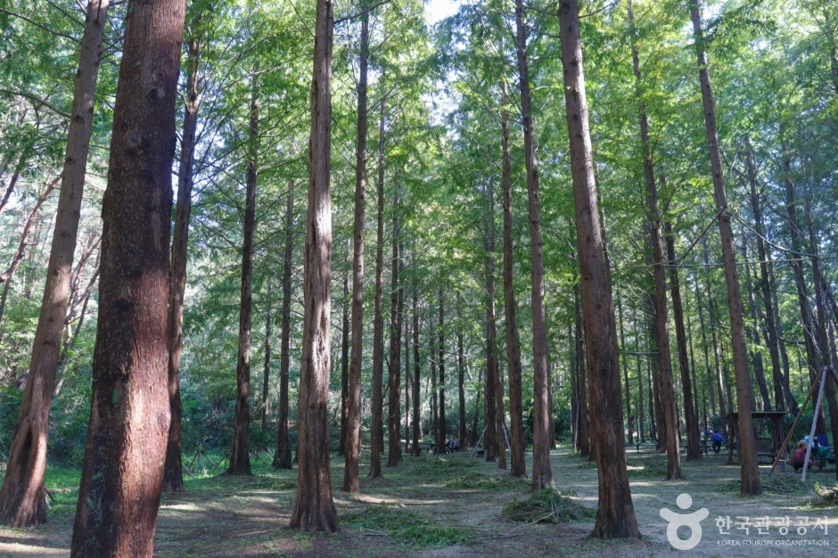 울산대공원 여행 추천 - 로드트립