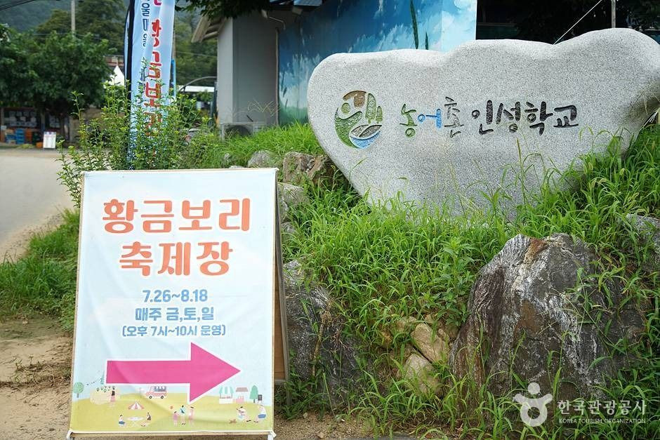 홍천 무궁화마을 여행 추천 - 로드트립
