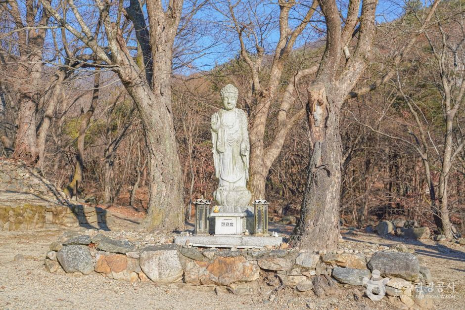 사나사(양평) 여행 추천 - 로드트립