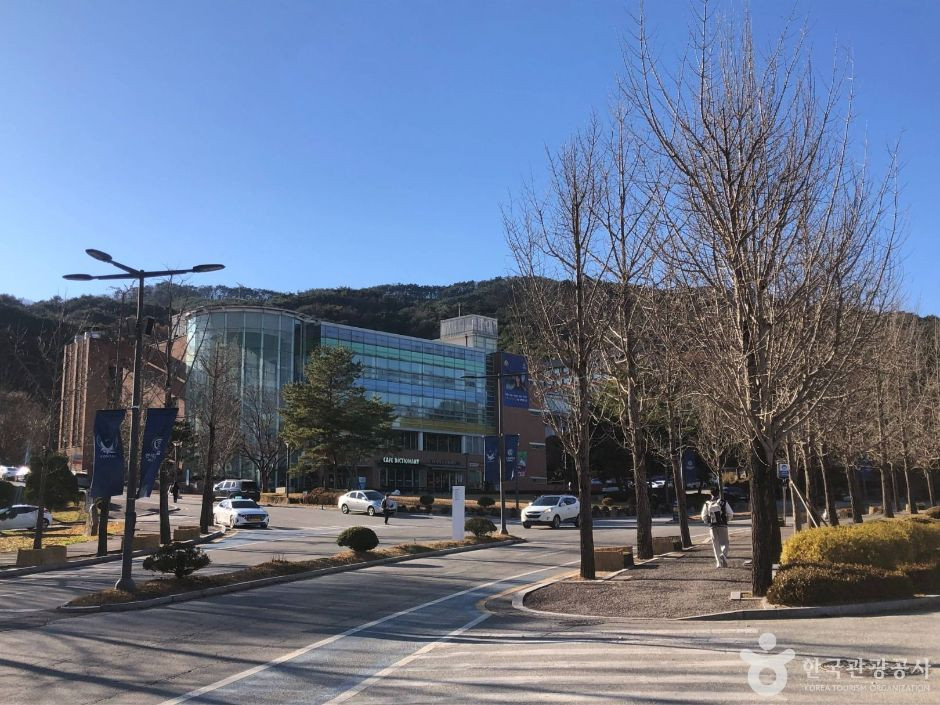 연세대 원주캠퍼스길 여행 추천 - 로드트립