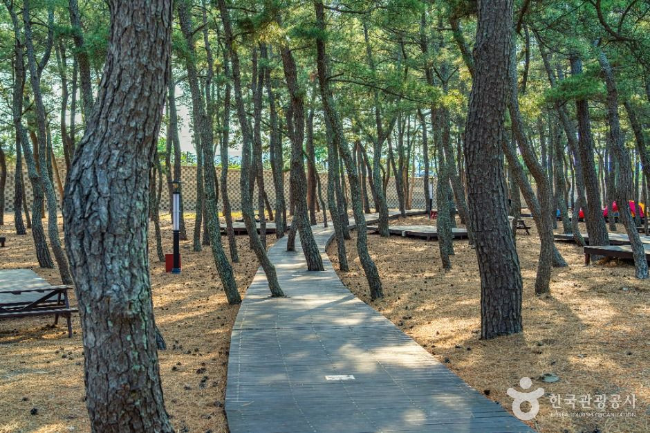 덕천해수욕장 여행 추천 - 로드트립