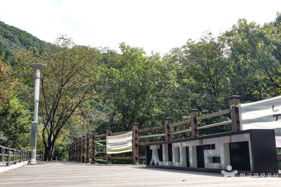 조무락계곡 여행 추천 - 로드트립