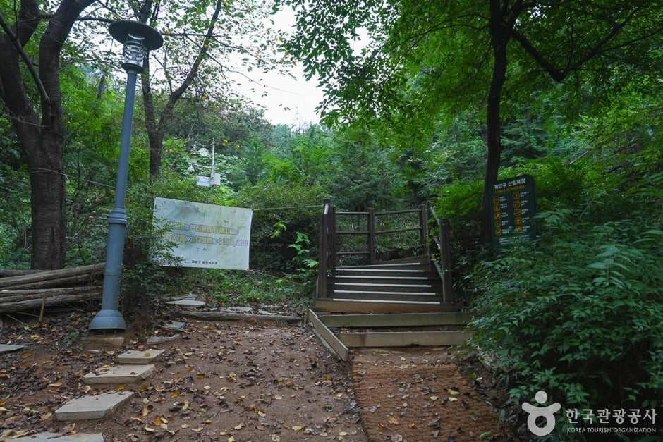 계양산 산림욕장 여행 추천 - 로드트립