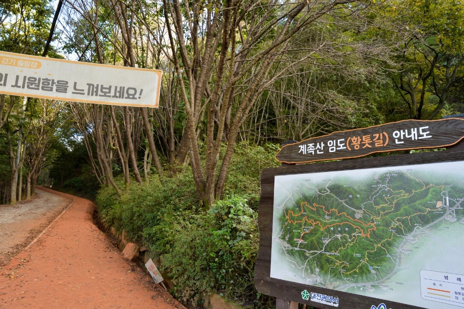 장동산림욕장 여행 추천 - 로드트립