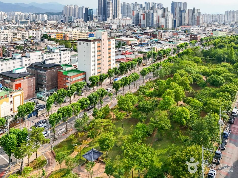 서구 그린웨이 여행 추천 - 로드트립