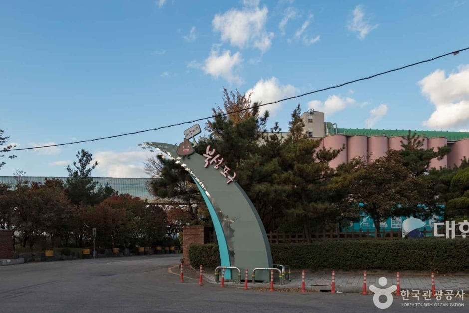 북성포구 여행 추천 - 로드트립