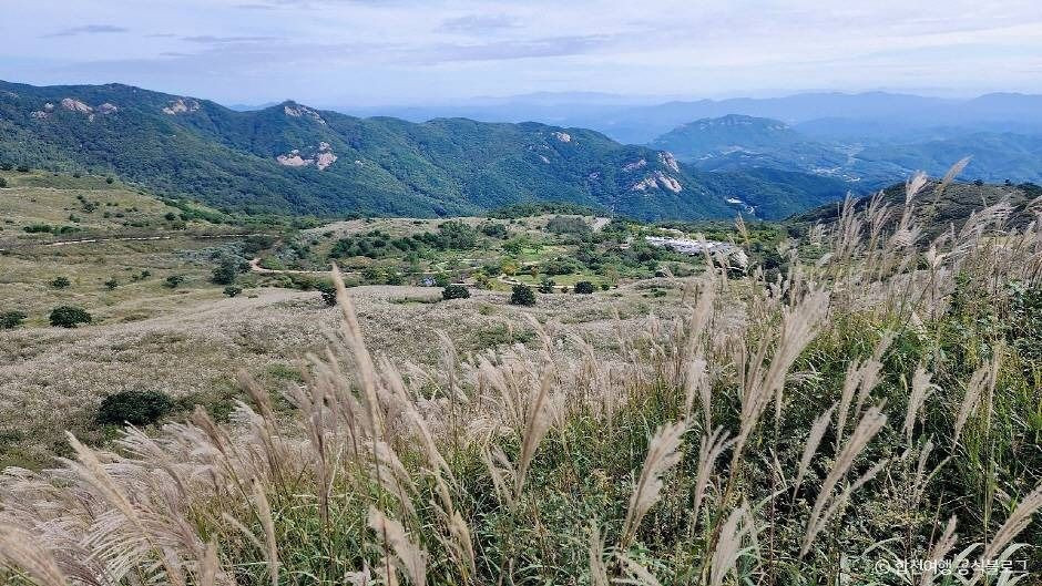 황매산 억새군락지 여행 추천 - 로드트립