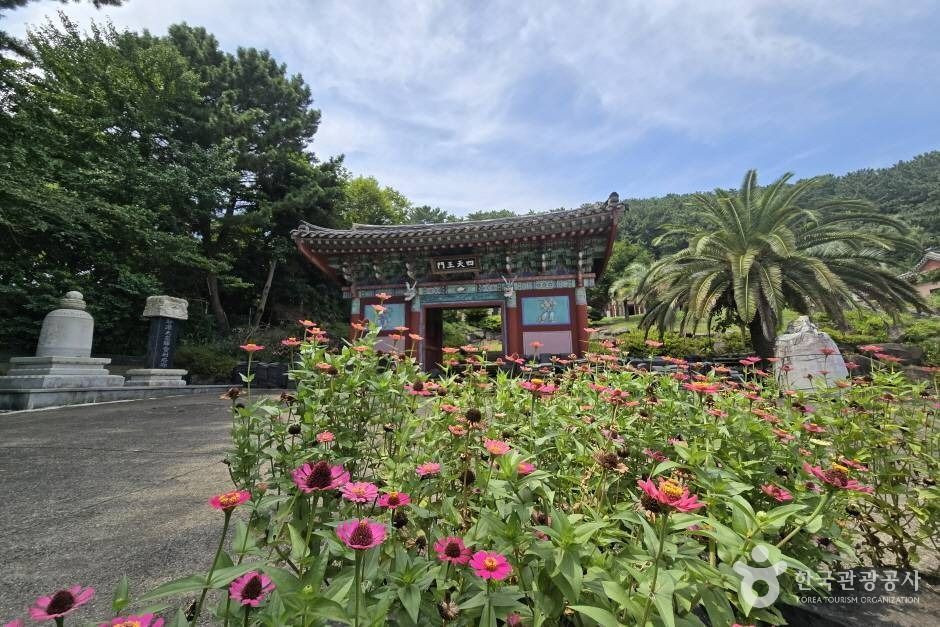 보림사(제주) 여행 추천 - 로드트립