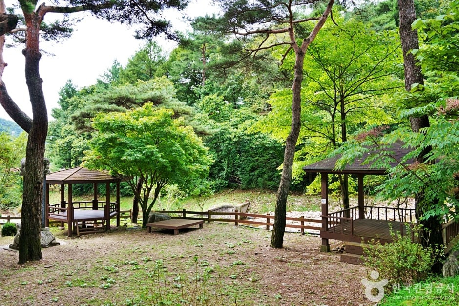 박달재자연휴양림 여행 추천 - 로드트립