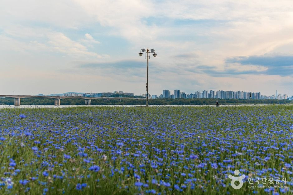 남양주한강공원(삼패지구) 여행 추천 - 로드트립