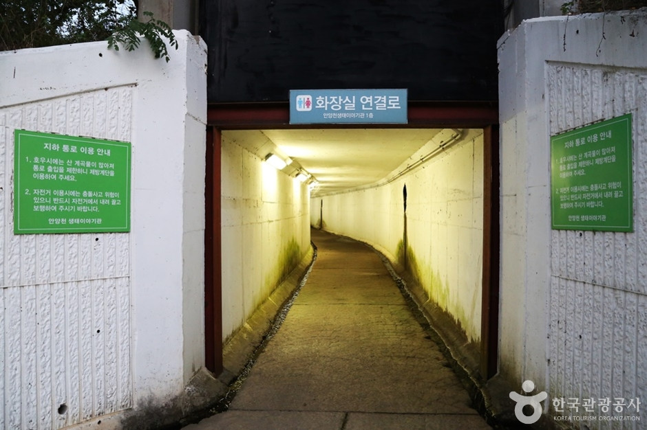 안양천 여행 추천 - 로드트립