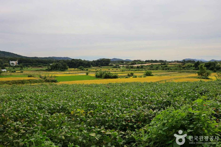 여주 오감도토리마을 여행 추천 - 로드트립