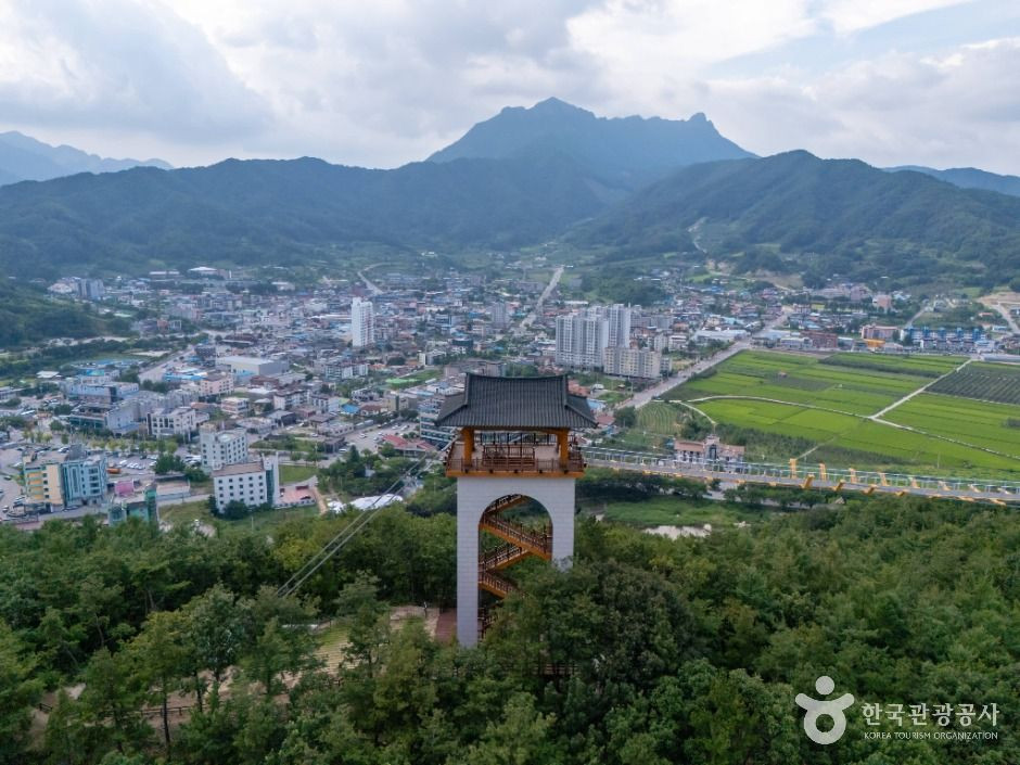 봉명산 출렁다리 여행 추천 - 로드트립