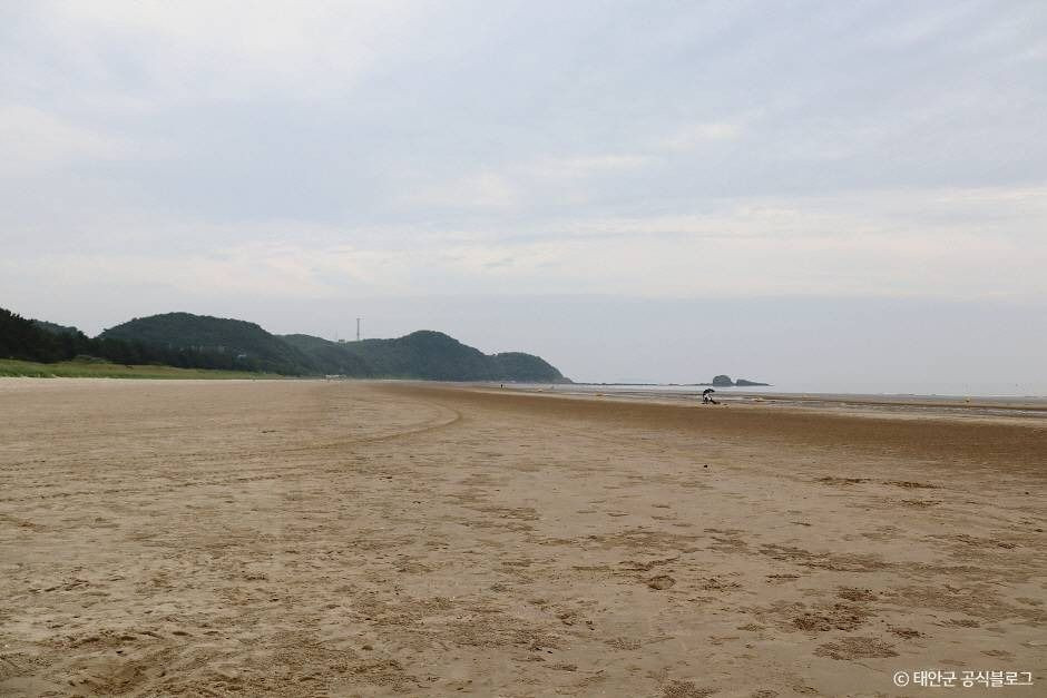 안면해수욕장 여행 추천 - 로드트립