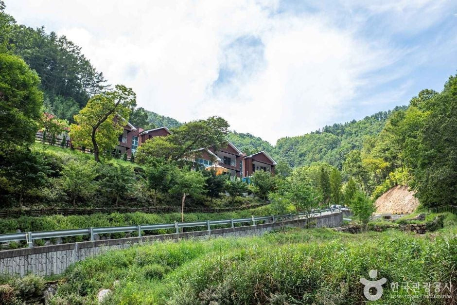 독용산성 자연휴양림 여행 추천 - 로드트립