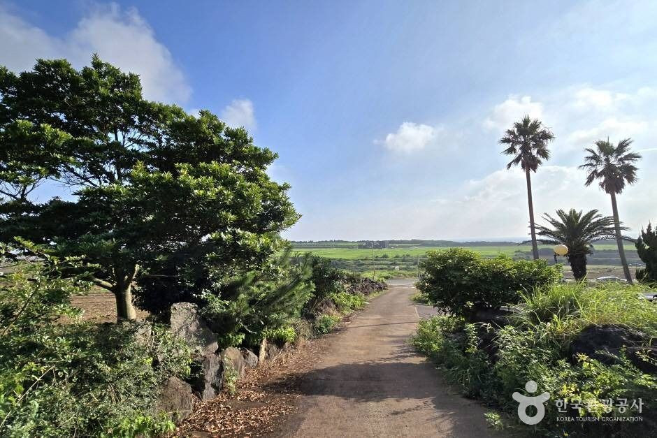 당산봉 여행 추천 - 로드트립