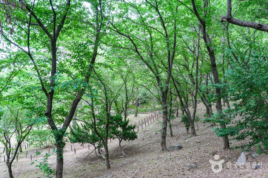 학성공원 여행 추천 - 로드트립