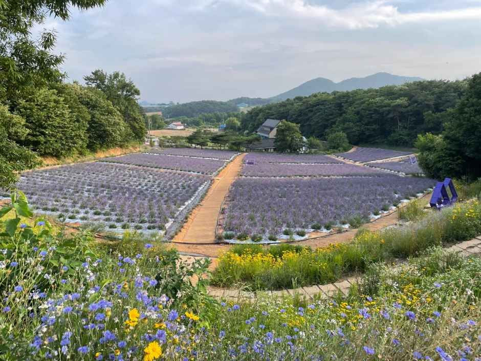 고창 청농원 여행 추천 - 로드트립